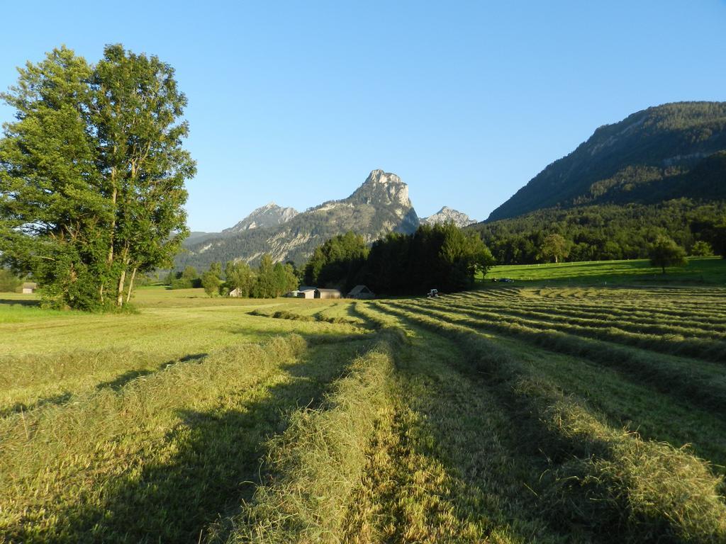 Hotel Gasthof Wiesenhof Strobl Exteriér fotografie